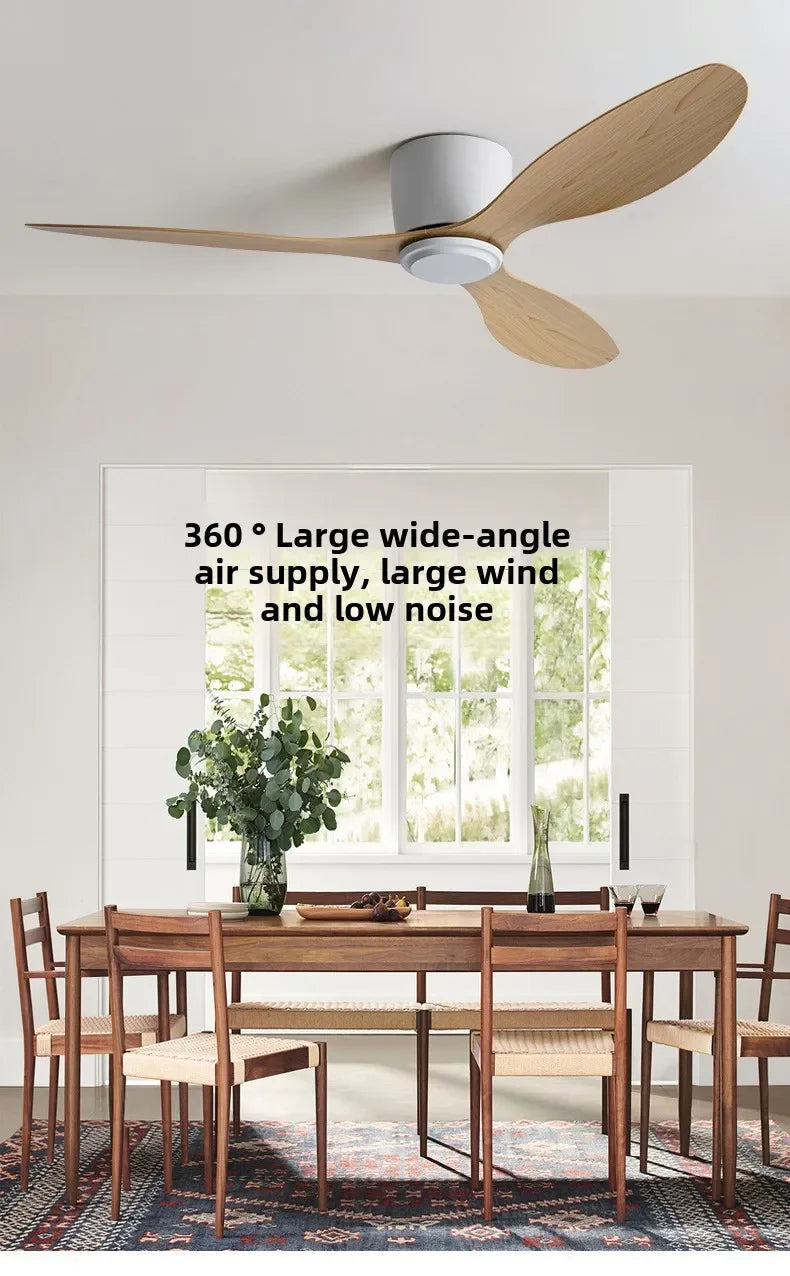 Minimalist LED Ceiling Fan