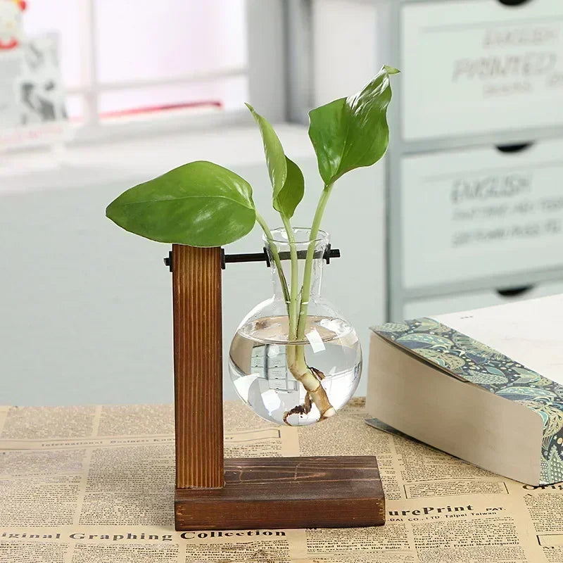 Hydroponic Plant Terrarium Vase