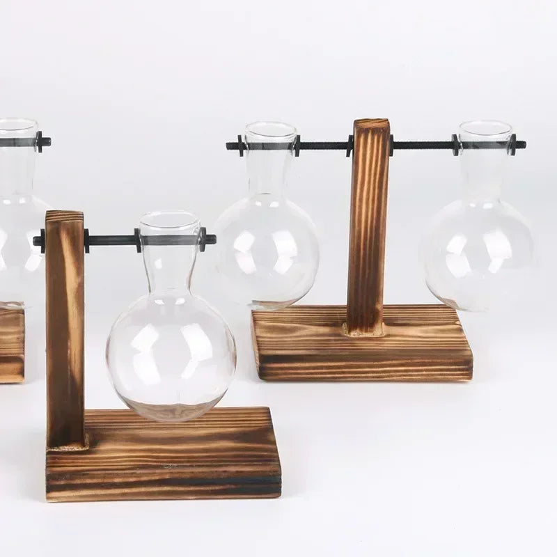 Hydroponic Plant Terrarium Vase