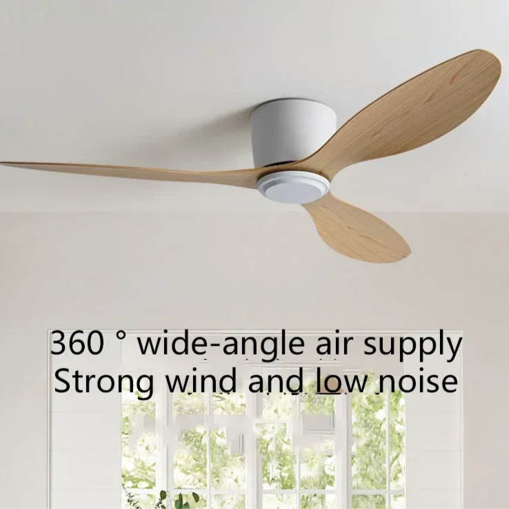 Minimalist LED Ceiling Fan