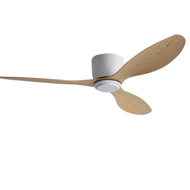 Minimalist LED Ceiling Fan
