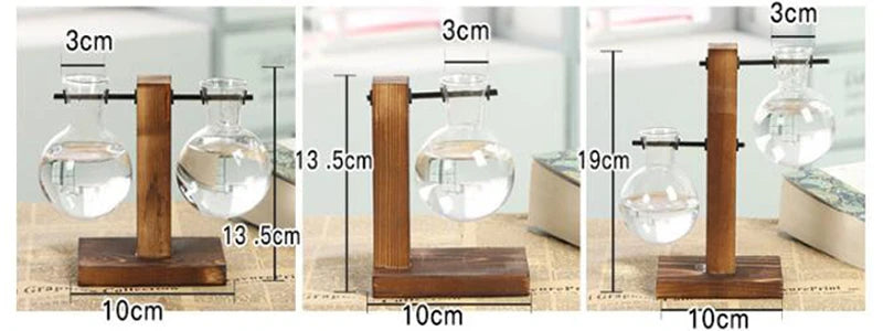 Hydroponic Plant Terrarium Vase