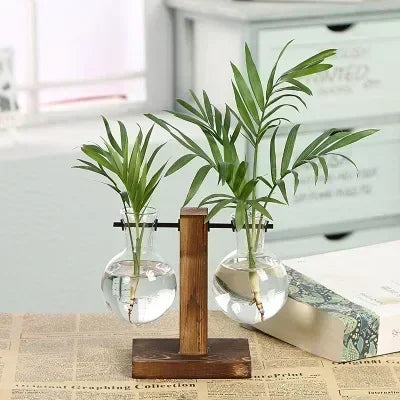 Hydroponic Plant Terrarium Vase