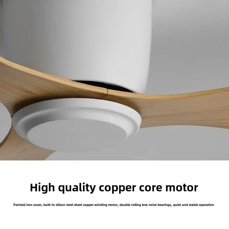 Minimalist LED Ceiling Fan