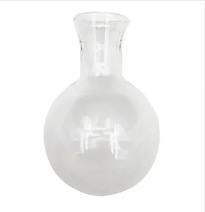 Hydroponic Plant Terrarium Vase