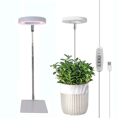 LED Grow Light