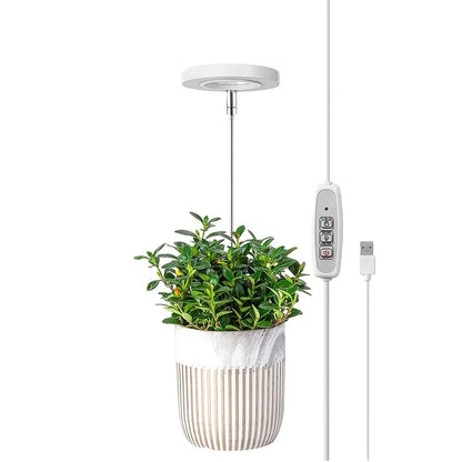 LED Grow Light