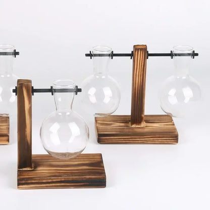 Hydroponic Plant Terrarium Vase