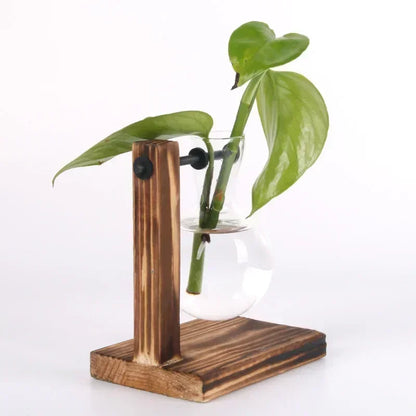 Hydroponic Plant Terrarium Vase
