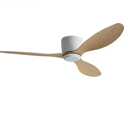 Minimalist LED Ceiling Fan