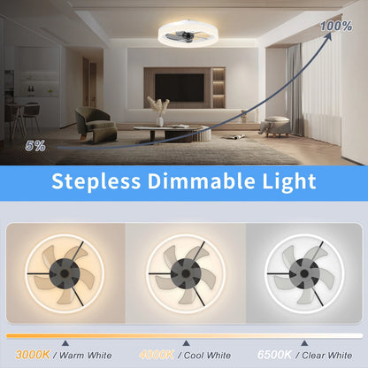 LED Ceiling Fan