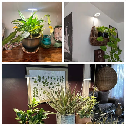 LED Grow Light